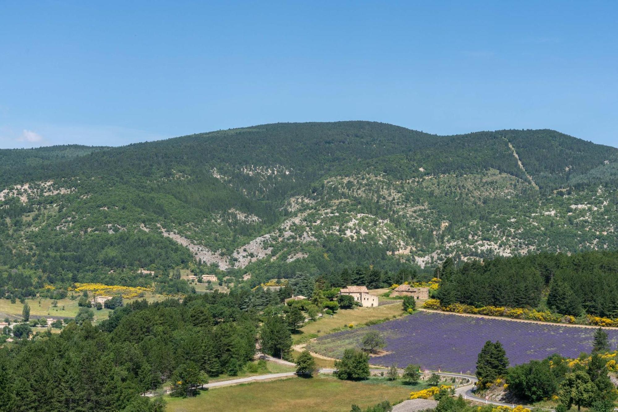 Villa Les Demeures Du Ventoux à Aubignan Extérieur photo